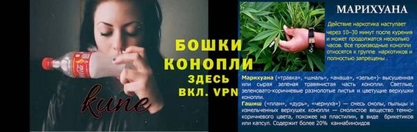 хмурый Богородск
