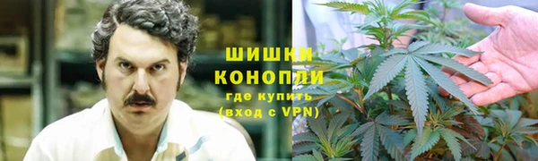 spice Богданович