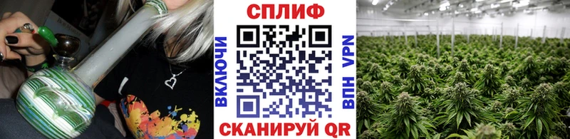Шишки марихуана семена продажа наркотиков Красный Кут